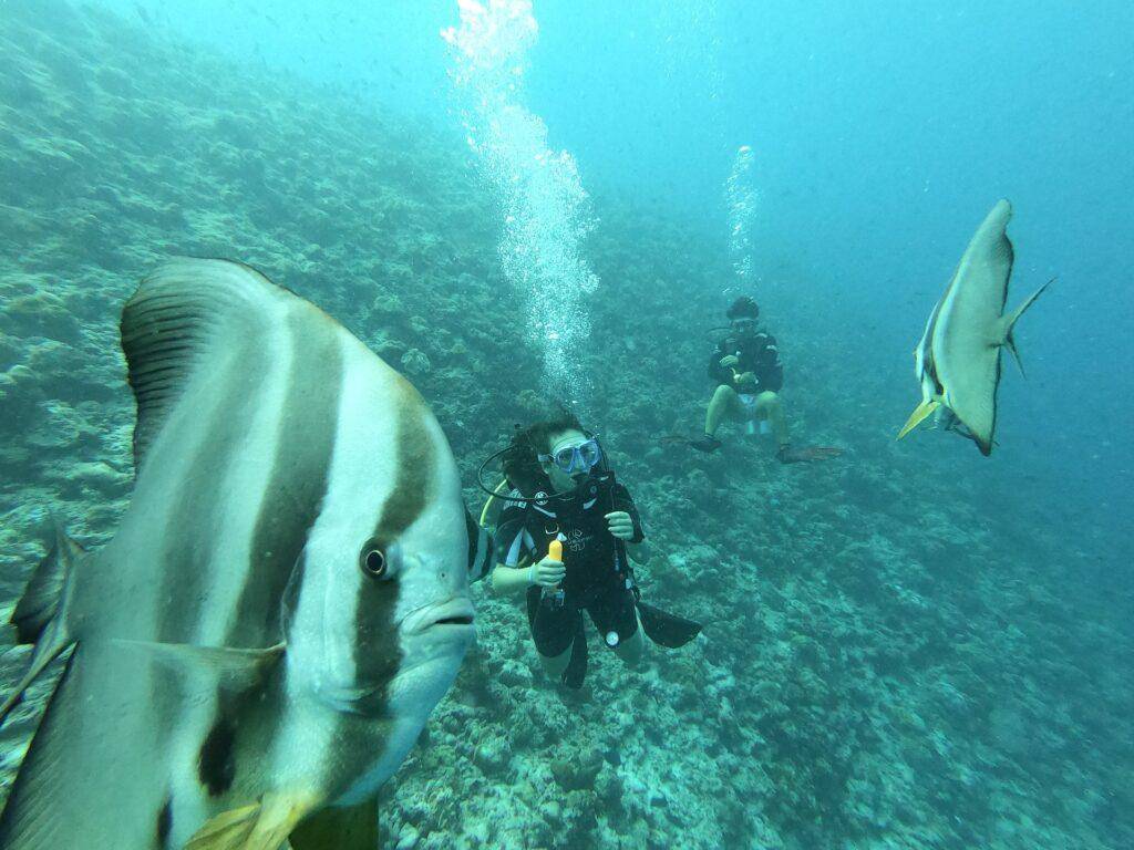 Scuba Diving, Maldives